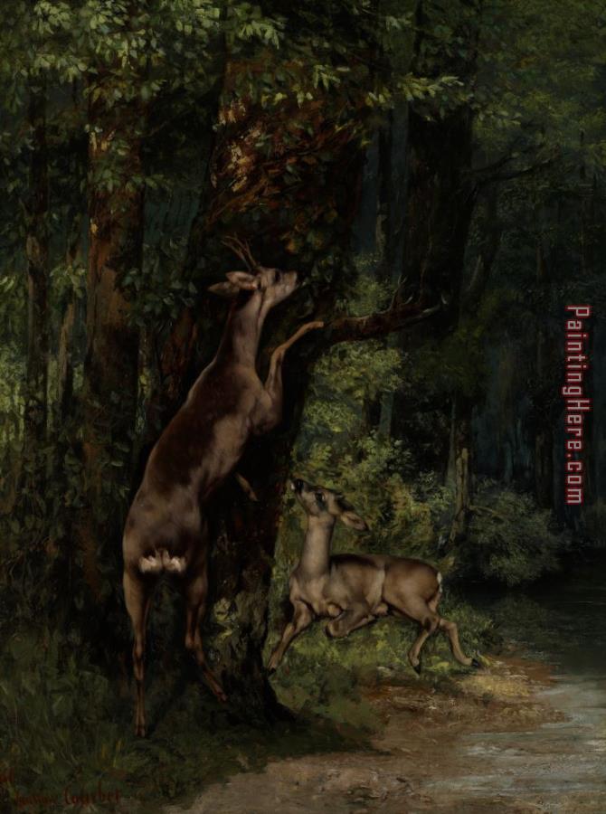 Gustave Courbet Deer In The Forest